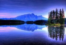 黑帽seo-网站镜像搭建-70外贸通_外贸跨境电商运营推广网站